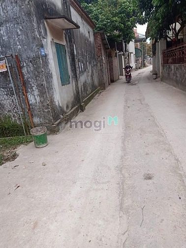 Hình ảnh Bán Đất Ngõ 193 Phú Diễn. 38m2. MT: 4.6m. Giá: 2.4 tỷ