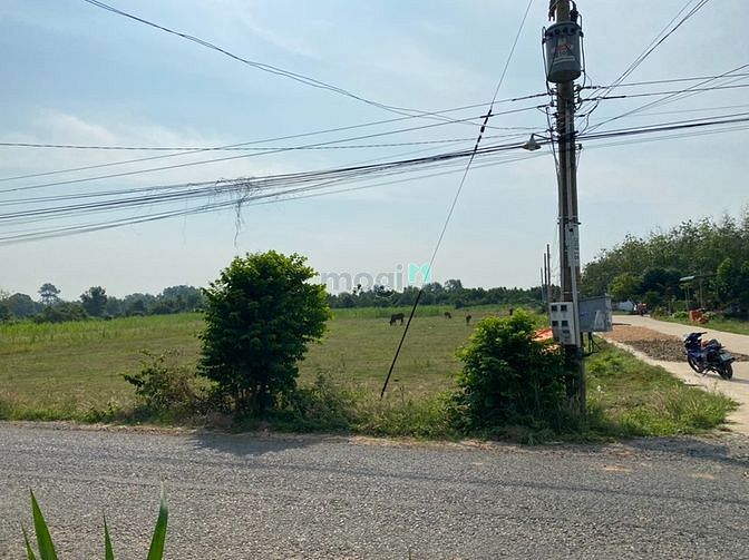 Hình ảnh Đất thổ cư 550tr ngay trung tâm TP. Tây Ninh