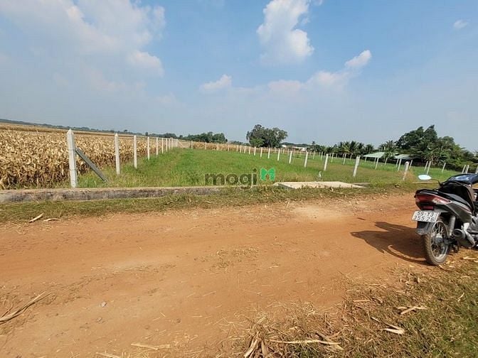 Hình ảnh Đất vườn Nguyễn Thị Rành 500m2 hỗ trợ lên 100m2 thổ cư.