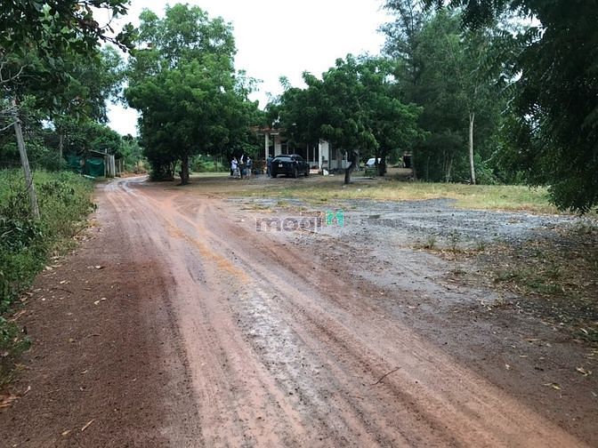 Hình ảnh Đất đường Cù Mi tân thắng Bình Thuận. Giá 15 tỷ