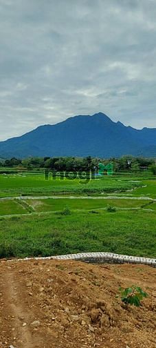 Hình ảnh Bán Đất Nghỉ Dưỡng Ba Vì - Hà Nội , Viêw Đồi Núi Thiên Nhiên