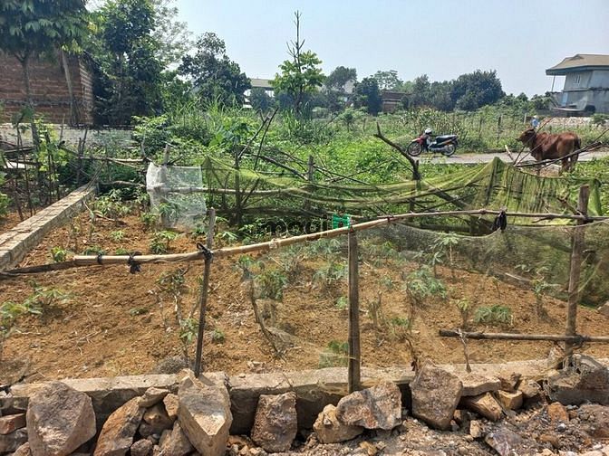 Hình ảnh Chỉ 900 triệu có ngay lô đất tại xã Bình Yên - Thạch Thất