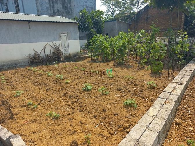 Hình ảnh Chỉ 900 triệu có ngay lô đất tại xã Bình Yên - Thạch Thất
