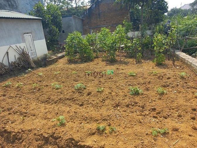 Hình ảnh Chỉ 900 triệu có ngay lô đất tại xã Bình Yên - Thạch Thất
