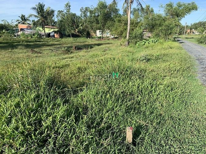 Hình ảnh Bán gấp lô đất đường Bùi Thanh Khiết, Bình Chánh Giá rẻ