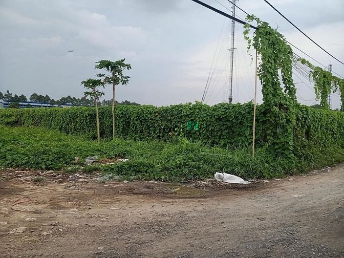 Hình ảnh Bán Đất Mb6623 phiên bản mới nhất 1600m2, 2 mặt tiền Bình Chánh