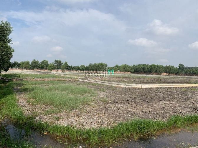 Hình ảnh Đất vườn Nguyễn Văn Khạ xã nhuận Đức củ chi 1592m2 giá 1ty4