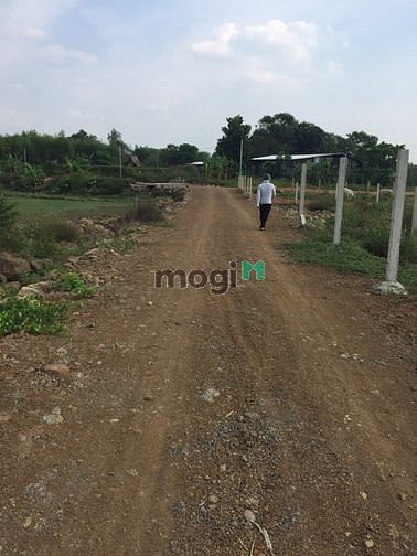 Hình ảnh cần bán 1100m2 đất vườn thuộc vĩnh tân vĩnh cửu