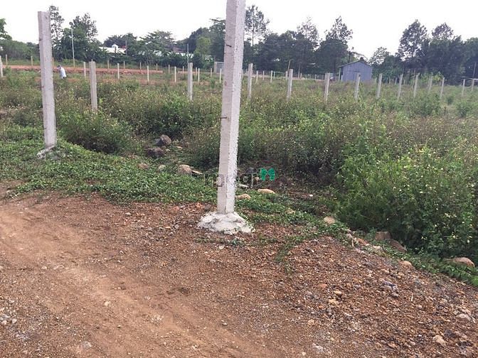 Hình ảnh cần bán 1100m2 đất vườn thuộc vĩnh tân vĩnh cửu