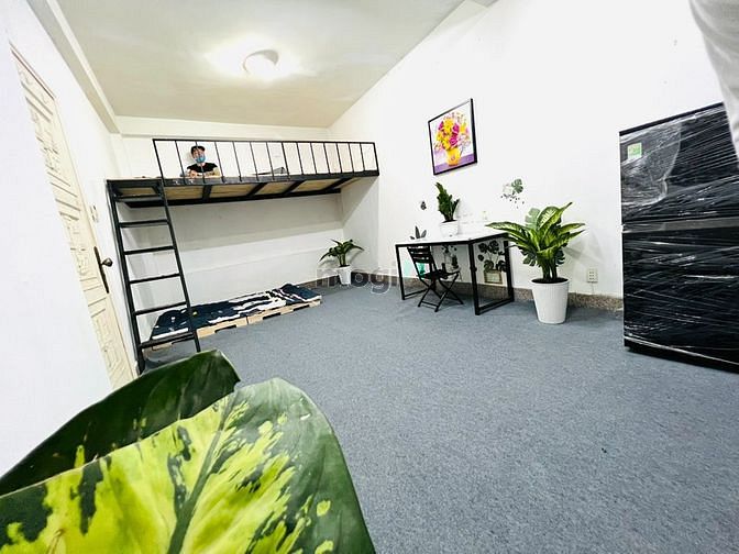 Hình ảnh Duplex Hoàng Văn Thụ, rộng 50m2, gần Công viên, Mới Rộng