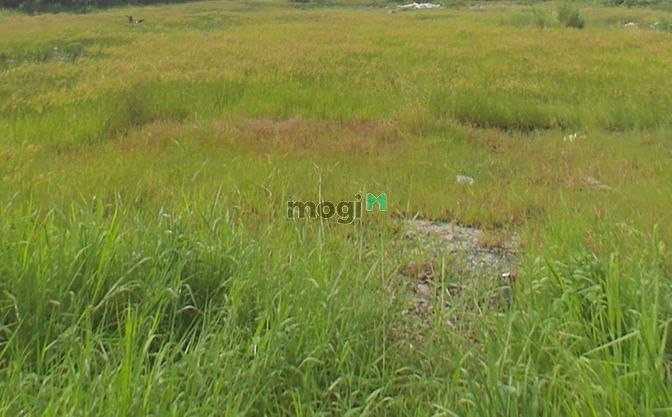 Hình ảnh Cần bán lô đất đg Nguyễn Thị Thập, Tân Phú,Q7.Dt 100m2,sổ riêng,3.2tỷ