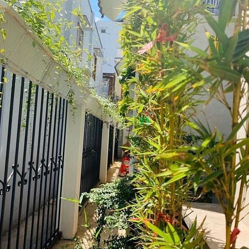 Hình ảnh Nhà hẻm 240 Nguyễn Văn Luông, P11, Q6