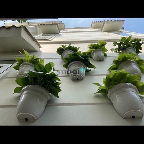 Hình ảnh Nhà hẻm 240 Nguyễn Văn Luông, P11, Q6