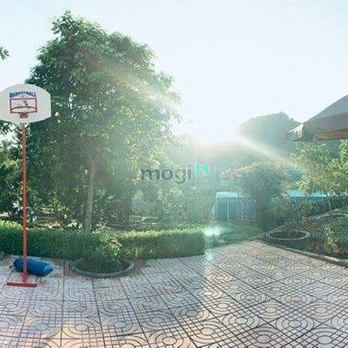 Hình ảnh Bán Đất Nghỉ Dưỡng Vân Hòa Ba Vì, 1300m2 Sẵn Khuôn Viên Tiện Ở, Giá rẻ