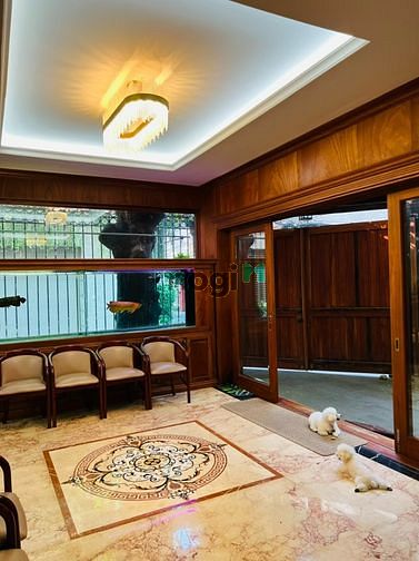 Hình ảnh Biệt thự HXH Pasteur 13 x 10m, Pasteur, P.6, Q.3