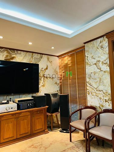 Hình ảnh Biệt thự HXH Pasteur 13 x 10m, Pasteur, P.6, Q.3