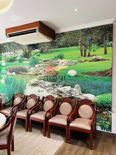 Hình ảnh Biệt thự HXH Pasteur 13 x 10m, Pasteur, P.6, Q.3