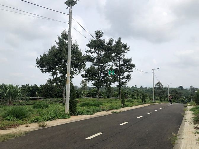 Hình ảnh bán đất lộc an - bảo lâm- lâm đồng