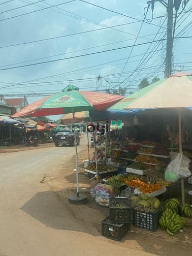 Hình ảnh đất sào đồng phú giá rẻ sổ sẵn