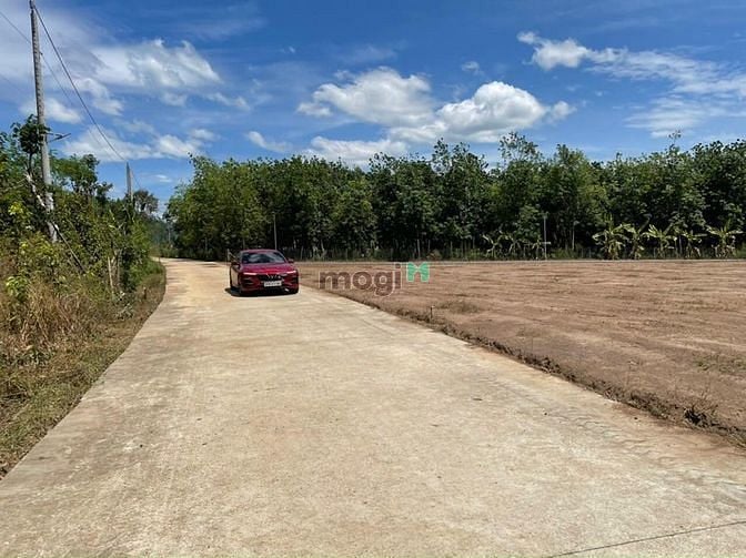 Hình ảnh Cần thanh lí 3 sào đất sát TT Lộc Ninh, Bình Phước giá rẻ nhất khu vực