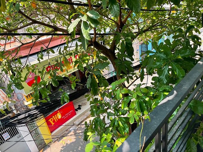 Hình ảnh Cho thuê nhà nguyên căn hẻm ô tô