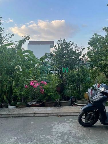 Hình ảnh Chính Chủ Gửi Bán Đất 1/ Đường Số 6, SHR