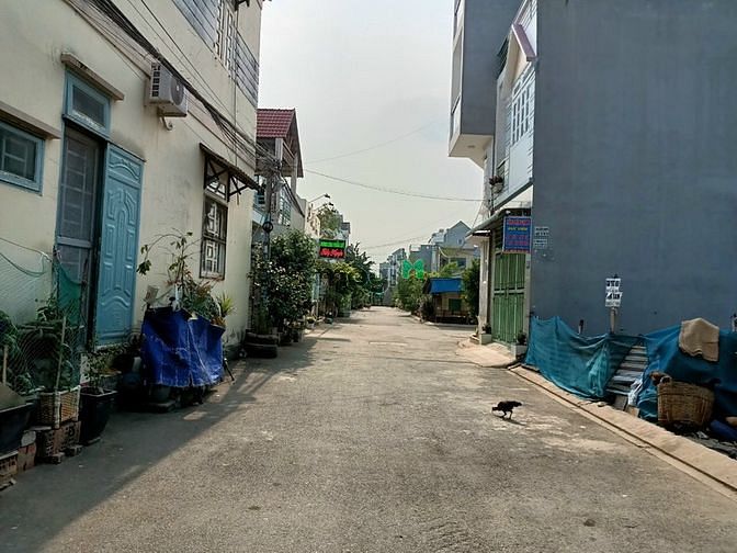Hình ảnh Chính Chủ Gửi Bán Đất 1/ Đường Số 6, SHR