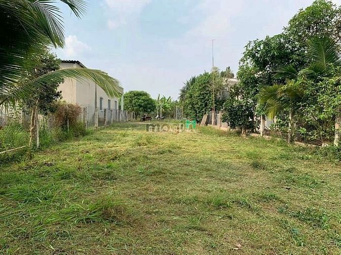 Hình ảnh Bán gấp lô đất MT Đường C4, Bình Lợi Bình Chánh giá rẻ