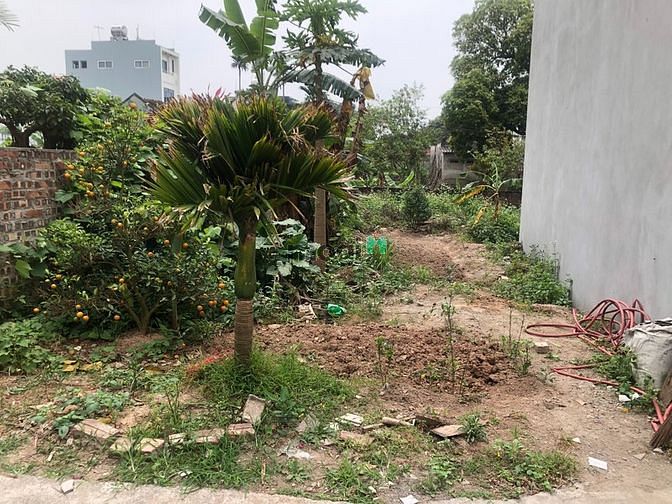 Hình ảnh Chị gái gửi bán gấp 120m2 đất hai mặt thoáng tại thôn Tự Môn