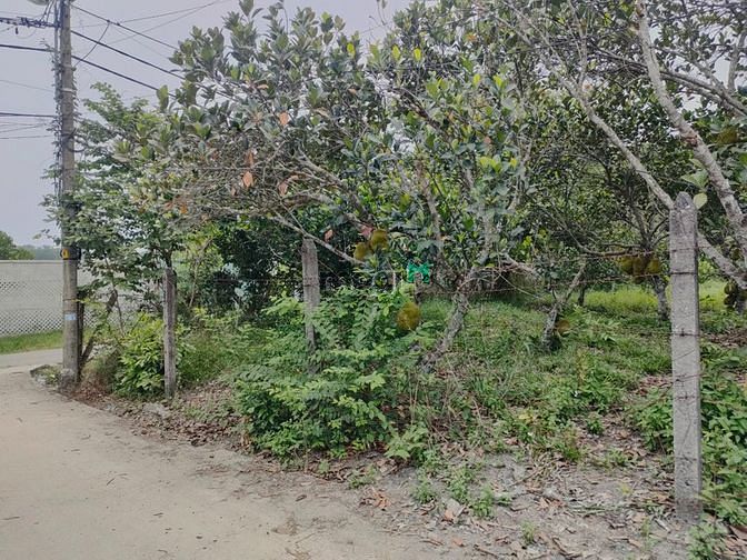Hình ảnh Đất vườn 500m Nhuận Đức 150m THỔ CƯ GIÁ THƠM