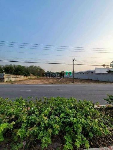 Hình ảnh Bán đất MT ĐT744, Phú An, Bến Cát, DT:34x183, TC300m2, SHR, giá 46 tỷ