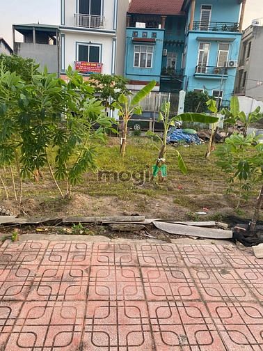 Hình ảnh Bán đất đấu giá Cự Khối, căn 2 mặt thoáng trước sau, DT 63m