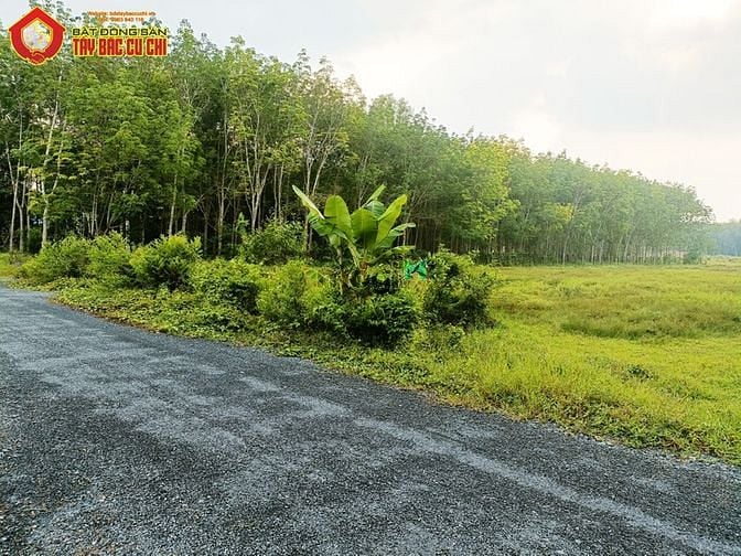 Hình ảnh Bán đất 2 mặt tiền 1/ đường lâm thị ngành - 5280m2 - 35x124 - xã an
