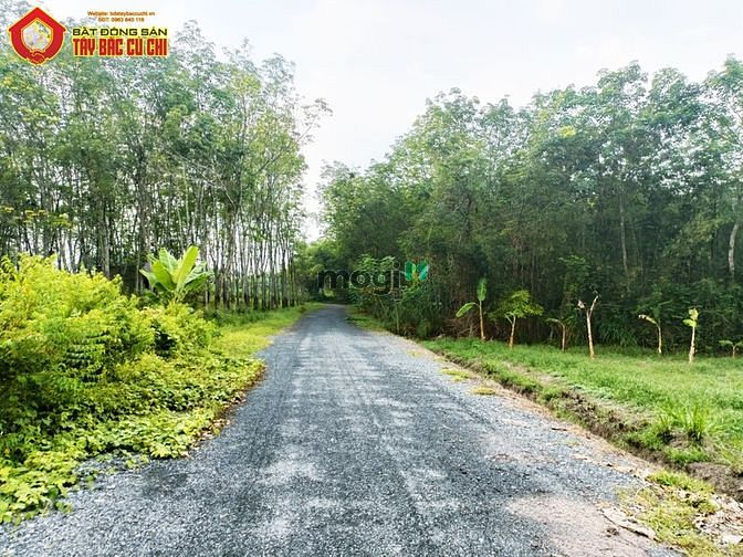 Hình ảnh Bán đất 2 mặt tiền 1/ đường lâm thị ngành - 5280m2 - 35x124 - xã an