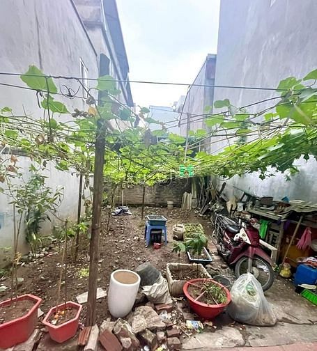 Hình ảnh Đất Phú Diễn, 38m2, 15M đường ô tô, giá Trang MB66.COM Chính Thức - MB 66 Uy Tín