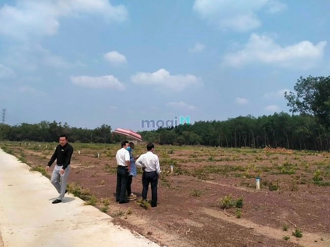 Hình ảnh Bán đất Minh Lập, Chơn Thành,Bình Phước Giá Chỉ 350 triệu/ nền.