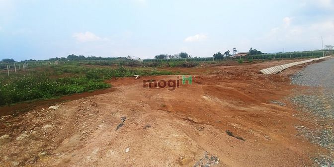Hình ảnh Bán Đất Ven Đà Lạt 1200m – 3 tỷ 2 Cạnh sân bay Liên Khương, Đà Lạt