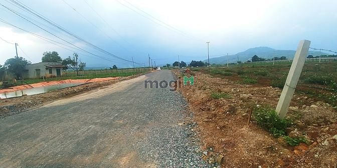 Hình ảnh Bán Đất Ven Đà Lạt 1200m – 3 tỷ 2 Cạnh sân bay Liên Khương, Đà Lạt