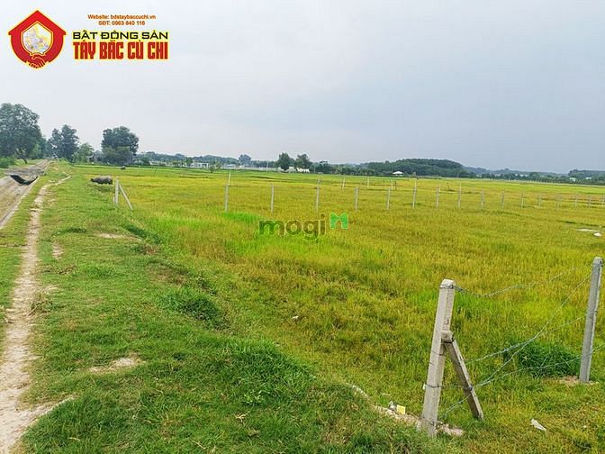 Hình ảnh Bán đất 1/ trần thị chọn - 1410m2 - 21x62 nở hậu 22 - xã trung lập hạ