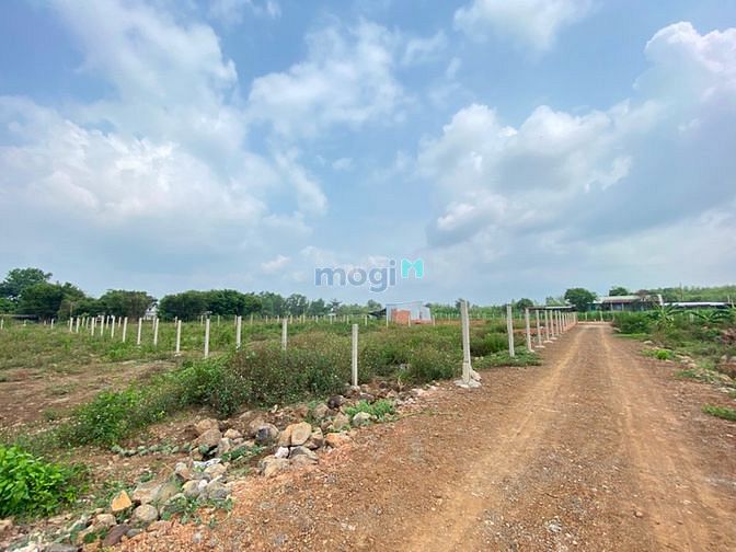 Hình ảnh Bán Sào Đất Nở Hậu Cực Đẹp Gần Ngã 3 Trị An Giá Rẻ