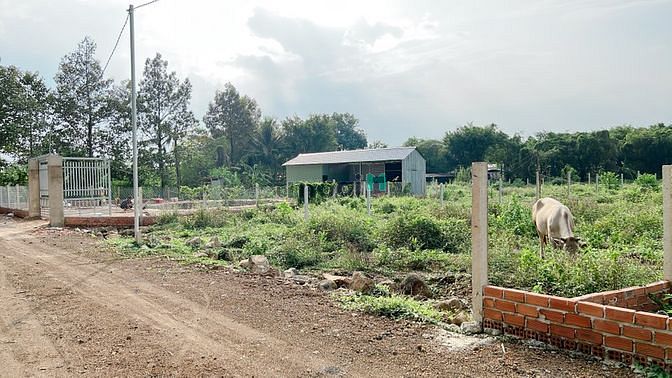 Hình ảnh Bán Sào Đất Nở Hậu Cực Đẹp Gần Ngã 3 Trị An Giá Rẻ
