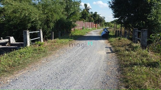 Hình ảnh MT Rạch Dứa Bình Mỹ Củ Chi 1000m2 Có 300m2 tc Giá Bán chỉ 5,5tr/m2