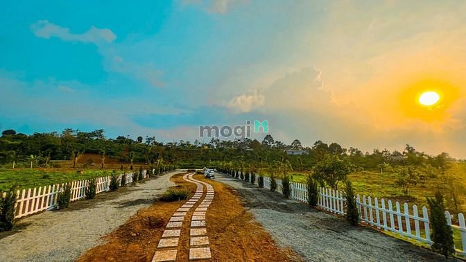 Hình ảnh Đất Nền TBiệt Thự Bảo Lộc 100m2 Thổ Cư có sổ sẵn