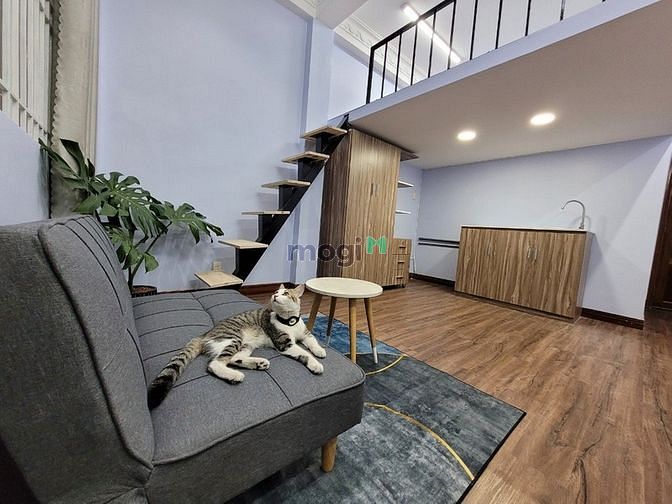 Hình ảnh Căn Hộ Duplex - Ban Công - Cửa Sổ Lớn Full NT Đường Nguyễn Cửu Vân