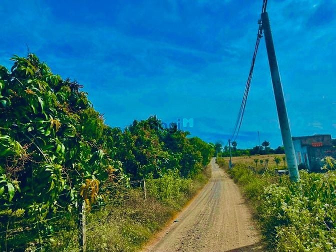 Hình ảnh Đất vườn Phú Ngọc giá rẻ ở Định Quán