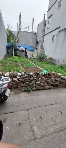 Hình ảnh Bán Đất Thanh Oai xã Tam Hưng, 40m, 850tr, ngõ thông, dân trí cao.