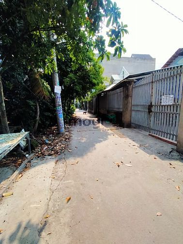 Hình ảnh Cho thuê đất siêu rẻ 135m thổ cư 122m