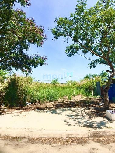 Hình ảnh Cần bán lô đất thổ cư Cao Lỗ, quận 8, gần CĐ Bách Khoa Nam SG