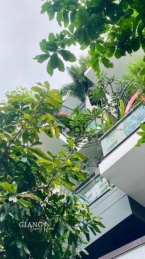 Hình ảnh Fresh Cloud - Ngôi nhà của rì rào cây lá và gió trời