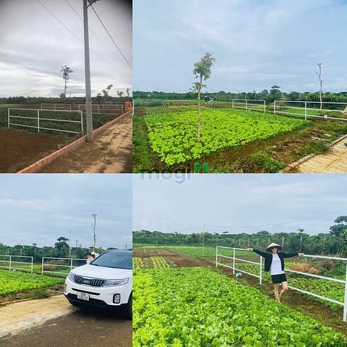 Hình ảnh Hấp dẫn Trang MB66.COM Chính Thức - MB 66 Uy Tín nhất Bảo Lộc. Đất nền ngay trung tâm giá 4.5tr/m2
